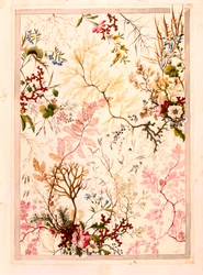 Papier marbré (papier)